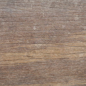 松树垃圾摇滚干旱天气燥和裂缝痕迹的背景木胶图片