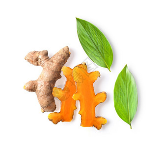 木薯cassumunar生姜白底叶孟加拉树图片素材