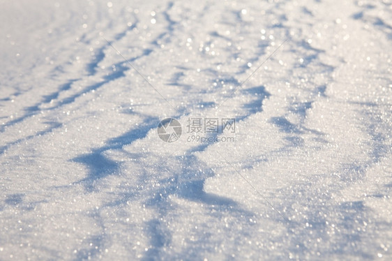 目的太阳升起时雪光照耀结晶的花图片