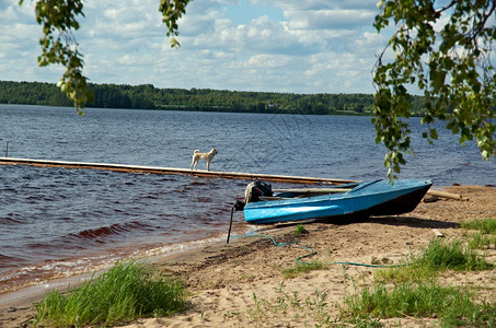 克诺泽里俄罗斯Arkhangelsk地区海岸的Kenozero湖汽车船克诺泽斯基森林图片