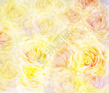 卡片制作彩色过滤器水成分制玫瑰花朵的表面抽象植物背景的图片