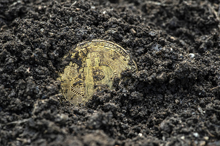 Bitcoin硬币在土壤中的比特币采矿加密概念支付少量金融图片
