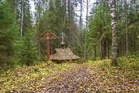 秋季林中小木屋图片