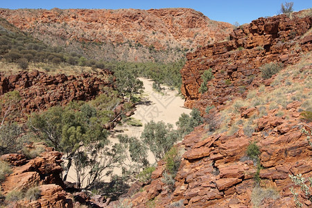 路德维希吸引力TrephinaGorge东麦克唐纳山脉澳大利亚北部地区弹簧图片