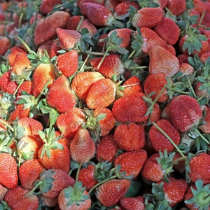 有机农场新鲜草莓丰收量堆积果汁桩杂货店图片