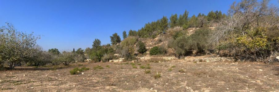 自然地中海风景鲜明的山丘干燥谷图片