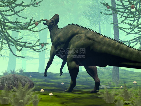 插图自然树干冠龙恐在南洋杉树林中进食3D渲染冠龙恐进食图片
