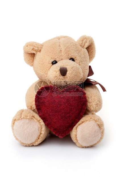 蓬松的目情人节小泰迪熊抱着红心坐与世隔绝在白色背景上孤立泰迪熊拿着红心图片