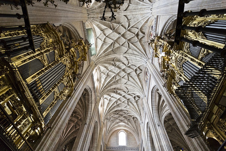 西班牙塞戈维亚大教堂天花板和管子器官的视图祈祷基督图片