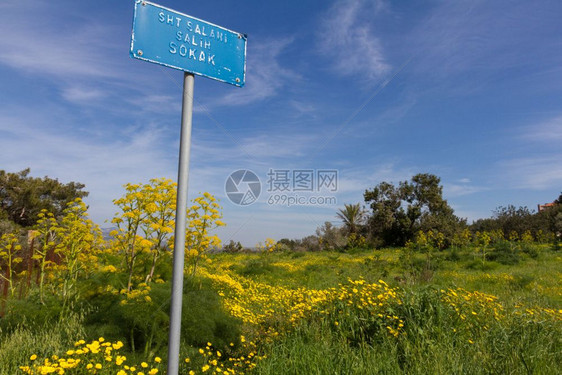 在塞浦路斯岛Diorios村的蓝色街道标志反对黄绿春田和青以及天空色地中海复制图片