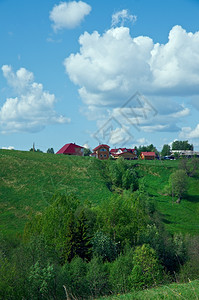 北俄罗斯村庄Arkhahangelsk州树木景观乡村的图片