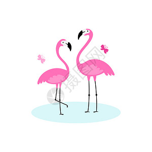 非洲热带粉红火烈鸟除虫病媒简单设计卡通片图片