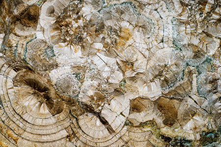 棕白色矿物美丽的褐白色装饰石背景和纹理表面螺旋涡轮线条裂缝斑点和污渍的抽象图案自然背景质地图片