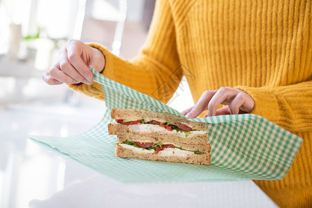 二十多岁在可再利用环境友好型比斯瓦克环球包装中将女扎三明治贴近可持续的有机图片