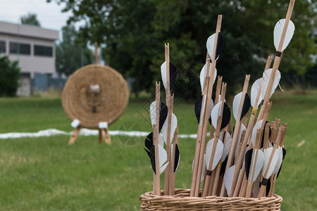 Meadow背景中的Wicker篮子和草箭中头群柳条团体射手图片