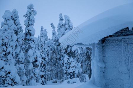 松树晚上冬夜下大雪森林边缘的小雪屋冬季森林边缘的小雪屋寒冷图片