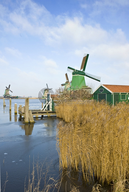 历史冬天4岁典型的荷兰风车在旅游景点德赞萨桑施安斯过冬日天图片
