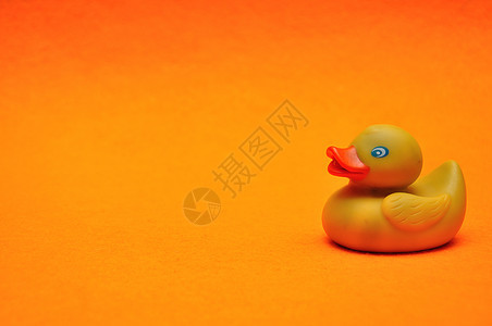 玩具漂浮简单的橙色背景橡皮鸭图片
