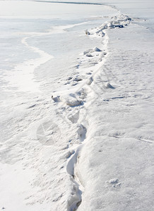 冷冻的冬海冰雪中背景霜寒冷的北极图片