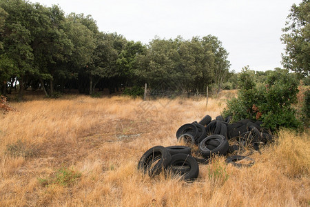 环境的桩户外具有天然质旧橡胶轮胎的污染图片