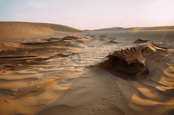 热沙漠丘在阳光明媚的日中一种美丽图片