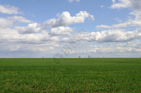 蓝天下的农田图片