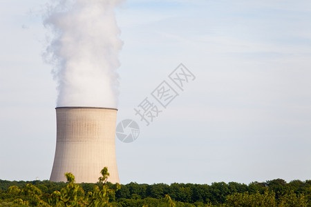冷却生态中间位于森林部的核电厂图片