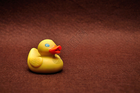 婴儿玩具棕色背景的橡胶鸭颜色图片
