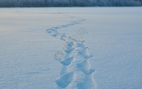 木头冬季美丽的圣诞风景湖雪的痕迹冬天美丽的圣诞风景霜日落图片