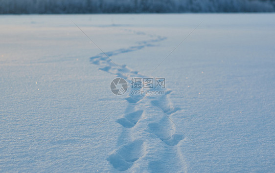 木头冬季美丽的圣诞风景湖雪的痕迹冬天美丽的圣诞风景霜日落图片