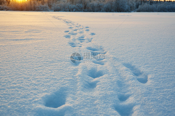 天空雪花自然冬季美丽的圣诞风景湖雪的痕迹冬天美丽的圣诞风景图片