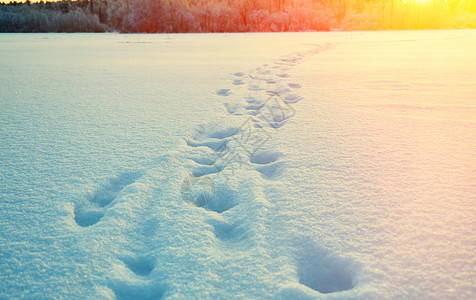 俄罗斯天空寒冷的冬季美丽圣诞风景湖雪的痕迹冬天美丽的圣诞风景图片