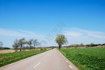 乡间公路在瑞典群岛奥兰的春天穿过农村地貌景观丰富多彩的假期图片