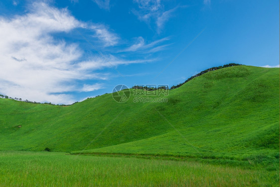 达科他州日本那拉县索尼高原的青草与蓝天对抗绿色的日本人图片