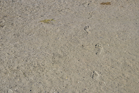 泥沙脚足迹一个孩子脚足踏在泥沙的中甚至地平面水的脚步声一种图片