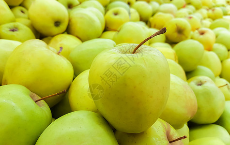 可口生的青苹果背景新鲜青苹果的背景一个苹果的特写成熟图片