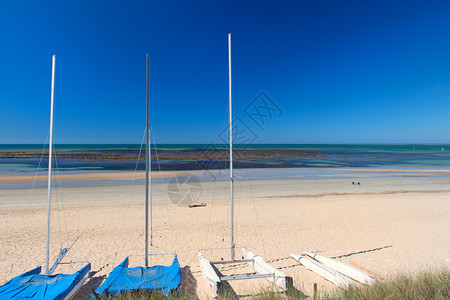 法语维林克双体船IledeReeBeach地平线上有帆船的海和沙滩图片