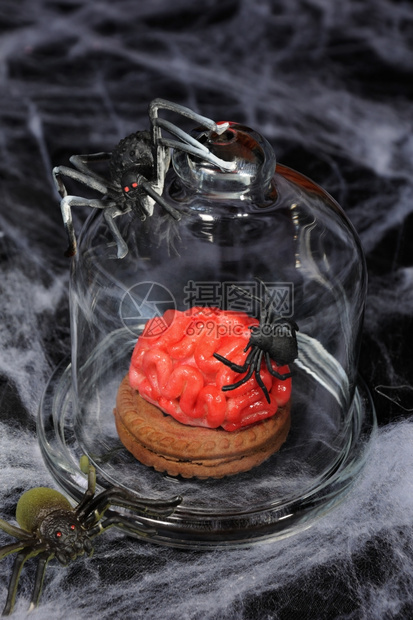在玻璃钟和蜘蛛下以大脑的形式带玛西潘的饼干食物甜味粘贴图片