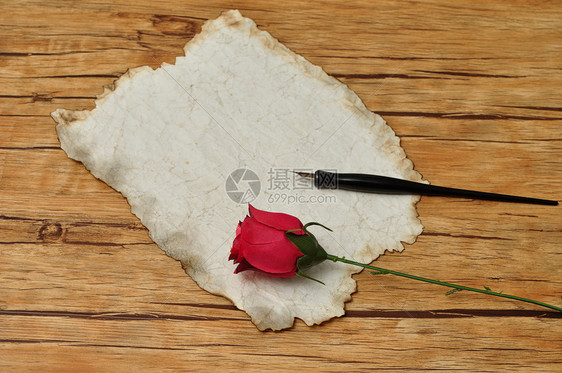 古老的黑钢笔旧纸和红玫瑰沟通空白的红色图片