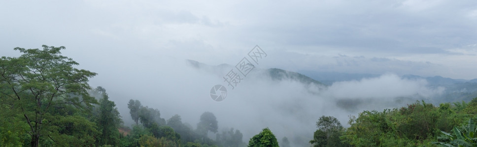 云雾缭绕的森林风光图片