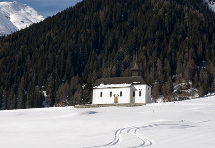瑞士一个小型高山教堂瑞士景观树冷杉图片