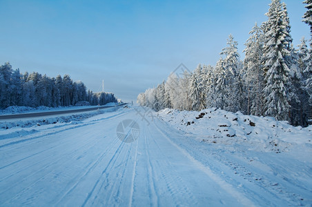 冬季森林雪景中的道路图片