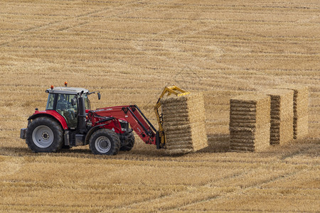农业在联合王国北约克郡农田收割小麦后一辆拖拉机收集的干草成堆放拖拉机场地一种下列的图片