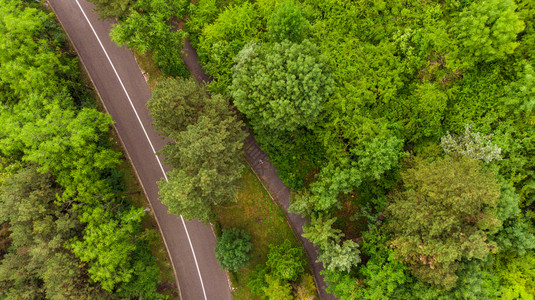 多于在公园中行走路面高度150米处的无人驾驶飞机上从面的绿色森林视图对道路和森林进行拍摄时走在公园中的足迹乡村小路踪图片