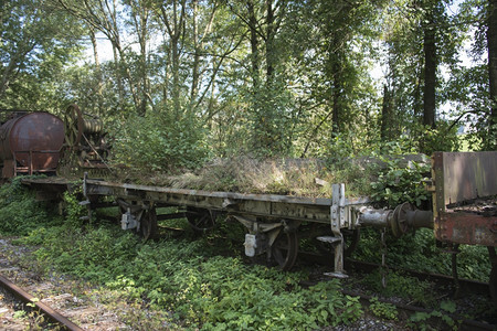 行业旅自然在贝尔圭姆的火车站修道院用老生锈的火车树木和植物长得过大图片