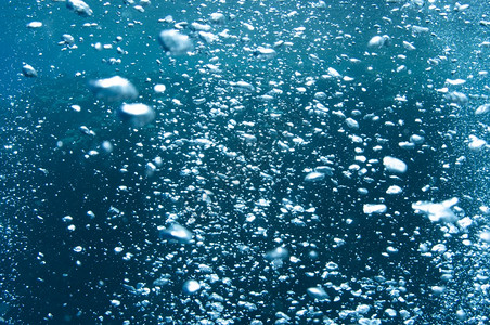 鱼浮上海面的清蓝洋中水下气泡动物荒野背景图片