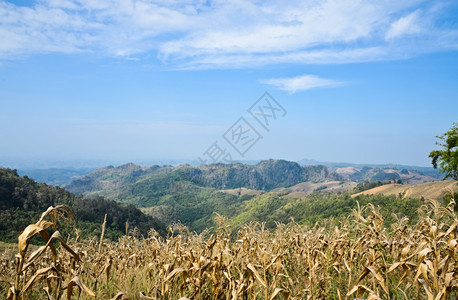 顶峰云阳光明日的山地景观公园图片