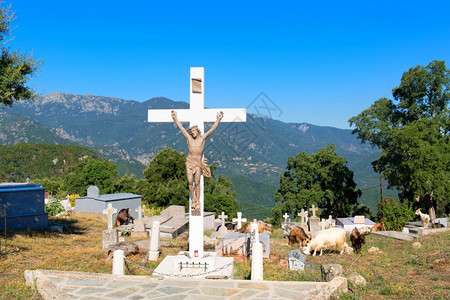 景观叉维林克在法国科西嘉岛小山村PrunellidiFiumorbo的上有许多山羊背景图片