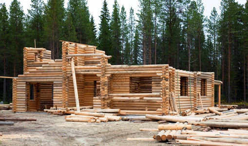 家森林房屋建筑在树中造一个两层的原木屋图片