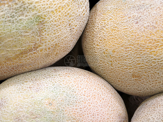 热带供农民市场出售的黄瓜色哈密图片